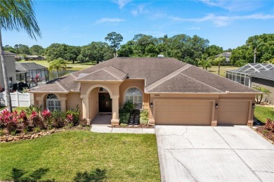 Lakes at The Eagles Golf Club  Home For Sale in Odessa Florida