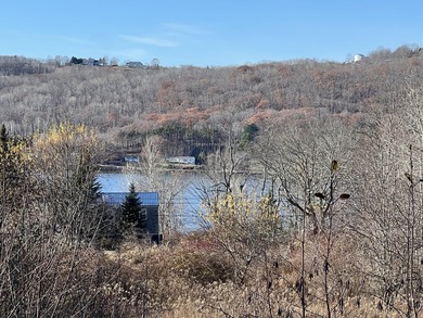 Open, level lot with plenty of natural sunlight and wonderful - photo 3