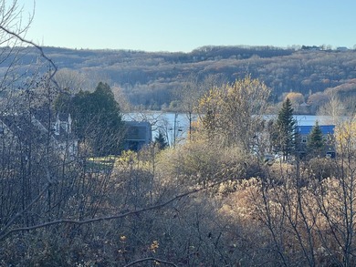 Open, level lot with plenty of natural sunlight and wonderful - photo 4