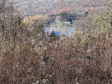 Open, level lot with plenty of natural sunlight and wonderful - photo 5