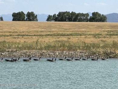 Boundless Sky--a rare 130-acre private estate opportunity in - photo 20