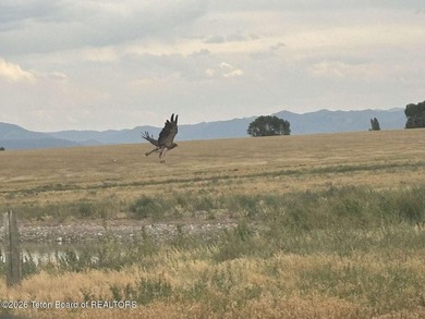 Boundless Sky--a rare 130-acre private estate opportunity in - photo 21