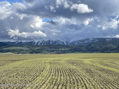 Boundless Sky--a rare 130-acre private estate opportunity in - photo 26