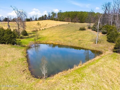 Set against a backdrop of year-round mountain views, this - photo 39