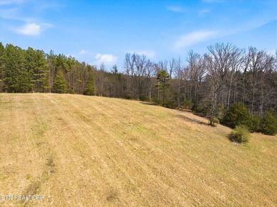Set against a backdrop of year-round mountain views, this - photo 42