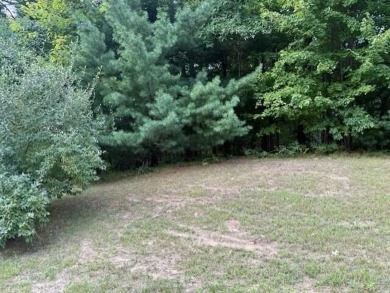 Lake Lot For Sale in Twin Lake, Michigan