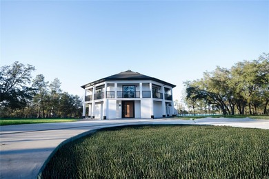 (private lake, pond, coastal) Home For Sale in Eustis Florida