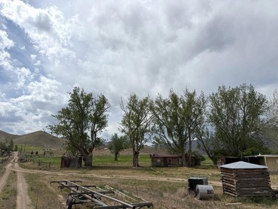 Large 97.5 acre parcel in Challis with Salmon River adjacency - photo 12