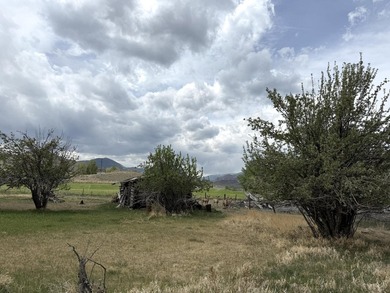 Large 97.5 acre parcel in Challis with Salmon River adjacency - photo 15