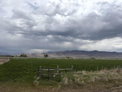 Large 97.5 acre parcel in Challis with Salmon River adjacency - photo 16