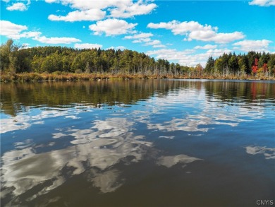 (private lake, pond, creek) Acreage Sale Pending in Warren New York