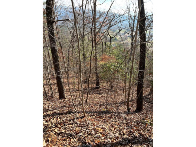 Lake Chatuge Lot For Sale in Hayesville North Carolina