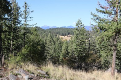 Lake Lot For Sale in Bigfork, Montana