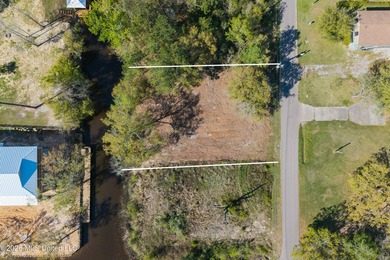 Build your coastal dream with ease at this prime waterfront - photo 3