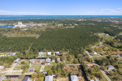 Build your coastal dream with ease at this prime waterfront - photo 10