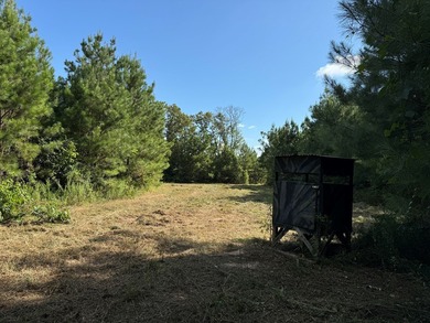 (pending lake) Acreage For Sale in Bogue Chitto Mississippi