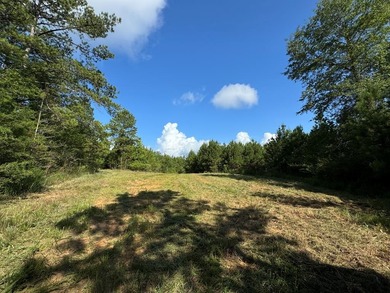 (pending lake) Acreage For Sale in Bogue Chitto Mississippi