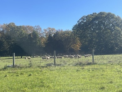 Presenting APR 50 Acre Farmhouse w/ several barns-a unique - photo 15