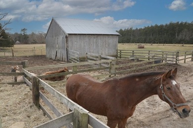 Presenting APR 50 Acre Farmhouse w/ several barns-a unique - photo 16