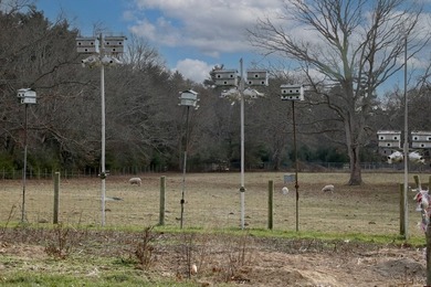 Presenting APR 50 Acre Farmhouse w/ several barns-a unique - photo 19