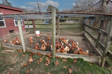 Presenting APR 50 Acre Farmhouse w/ several barns-a unique - photo 20