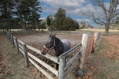 Presenting APR 50 Acre Farmhouse w/ several barns-a unique - photo 22