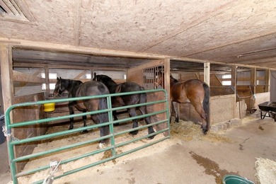 Presenting APR 50 Acre Farmhouse w/ several barns-a unique - photo 28