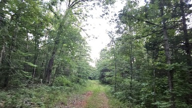 Buffalo River Acreage For Sale in Saint Joe Arkansas