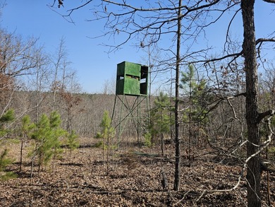 Buffalo River Acreage For Sale in Saint Joe Arkansas