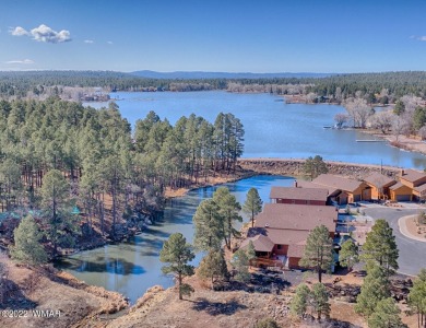 Lake Commercial For Sale in Lakeside, Arizona
