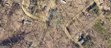 Lake Lot For Sale in Toccoa, Georgia