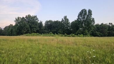 Buffalo River Acreage For Sale in Saint Joe Arkansas