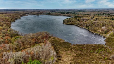 Tucked among the trees on the shores of beautiful Ellsworth Lake - photo 25