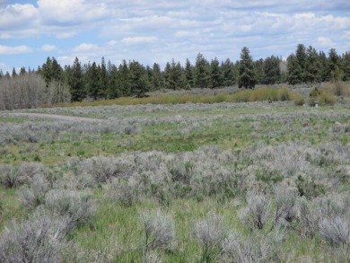 Lake Lot Off Market in Chiloquin, Oregon