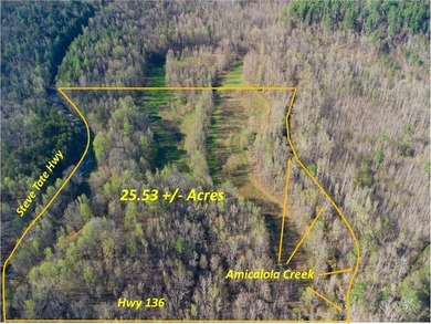 (private lake, pond, coastal) Acreage For Sale in Dawsonville Georgia