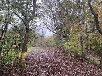 Lake Acreage For Sale in Brooksville, Kentucky