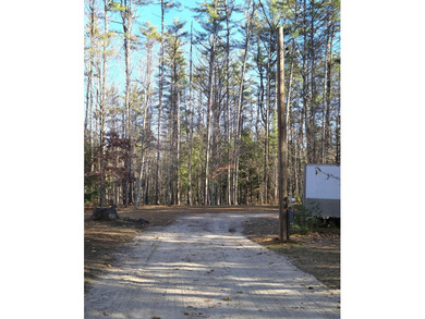 Lake Acreage For Sale in Naples, Maine