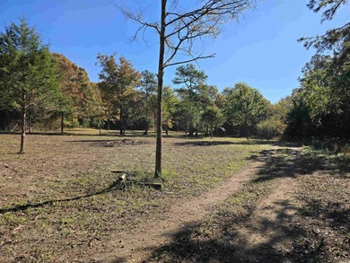 Lake Acreage For Sale in Mena, Arkansas