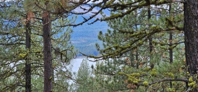 Lake Acreage For Sale in Rice, Washington