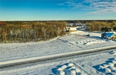 Lake Lot For Sale in Wyoming, Minnesota