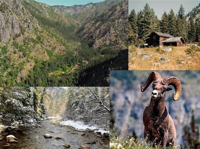 Salmon River - Idaho County Home For Sale in Riggins Idaho