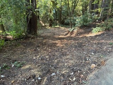 Discover your own slice of the Santa Cruz Mountains with this - photo 1