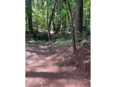 Discover your own slice of the Santa Cruz Mountains with this - photo 2