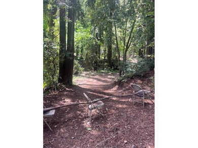 Discover your own slice of the Santa Cruz Mountains with this - photo 3