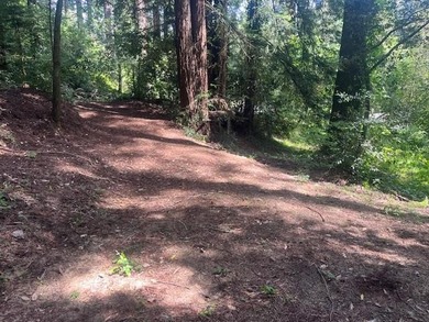 Discover your own slice of the Santa Cruz Mountains with this - photo 4