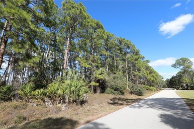 Come to Gulf Cove in the Myakka River and Build your Dream - photo 10