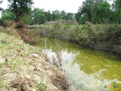 (private lake, pond, creek) Acreage For Sale in Evant Texas