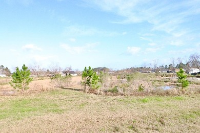 (private lake, pond, coastal) Lot For Sale in Lakeland Georgia