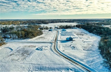 Lake Acreage For Sale in Wyoming, Minnesota