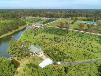 (private lake, pond, creek) Home For Sale in Havana Florida
